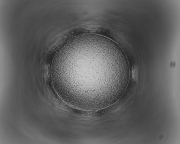 X0000114171347200910151627