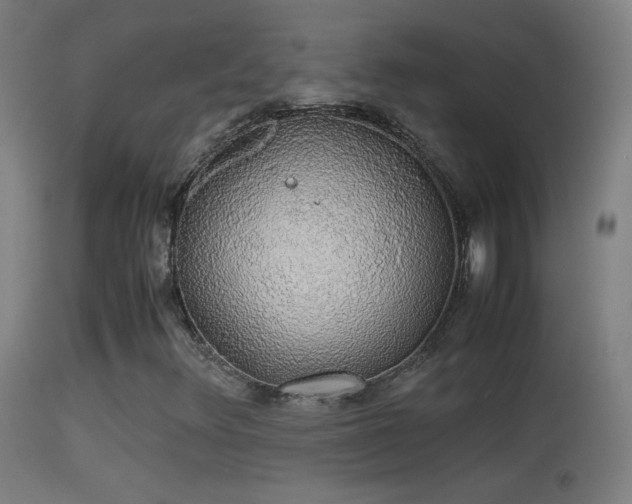 X0000114171348200910151627