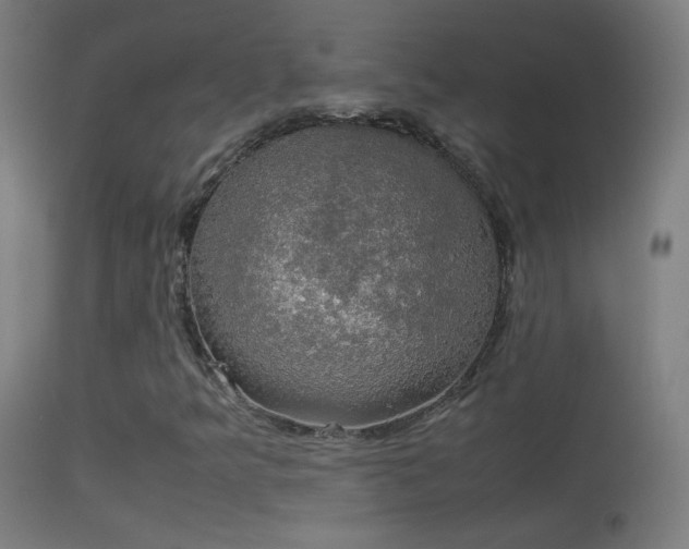 X0000114171349200910151627