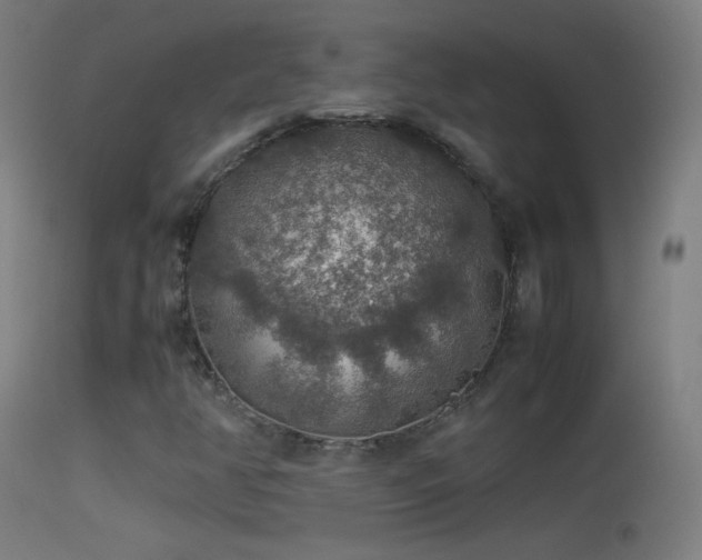 X0000114171350200910151627