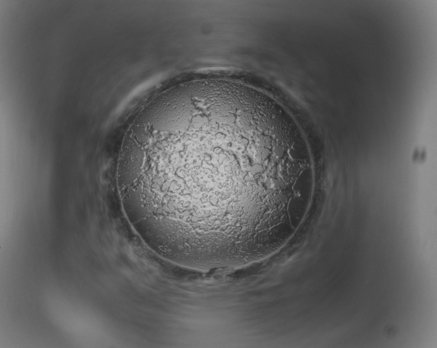 X0000114171351200910151627