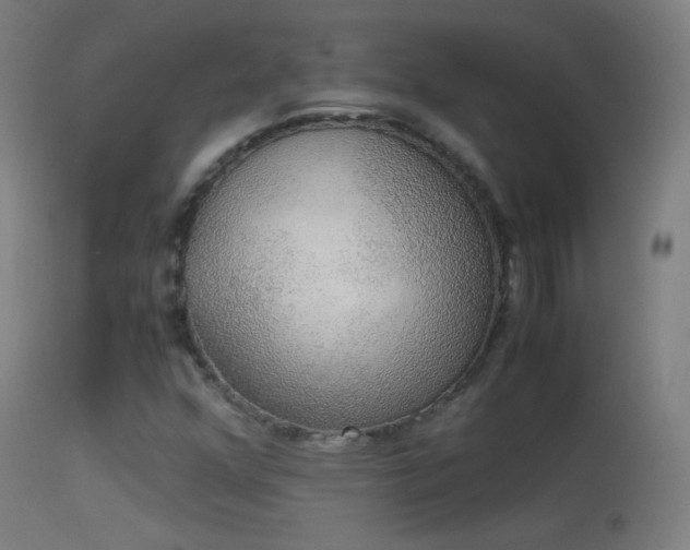 X0000114171352200910151627