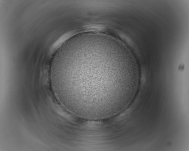 X0000114171354200910151627