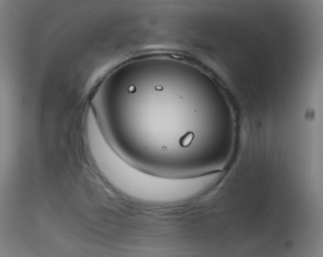 X0000114171357200910151627