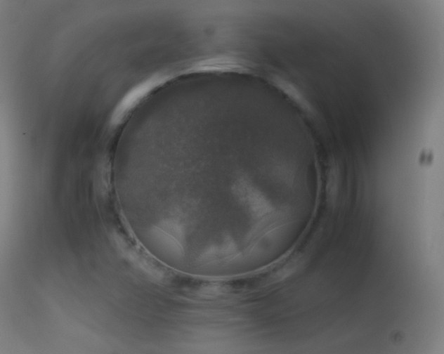 X0000114171358200910151627