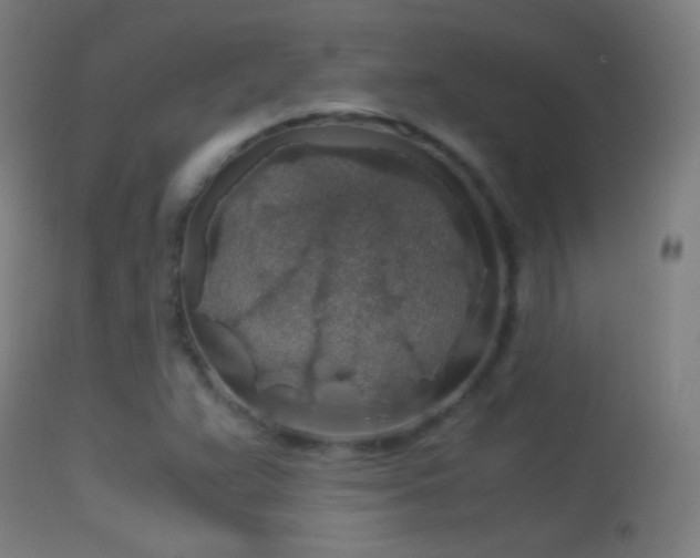 X0000114171359200910151627