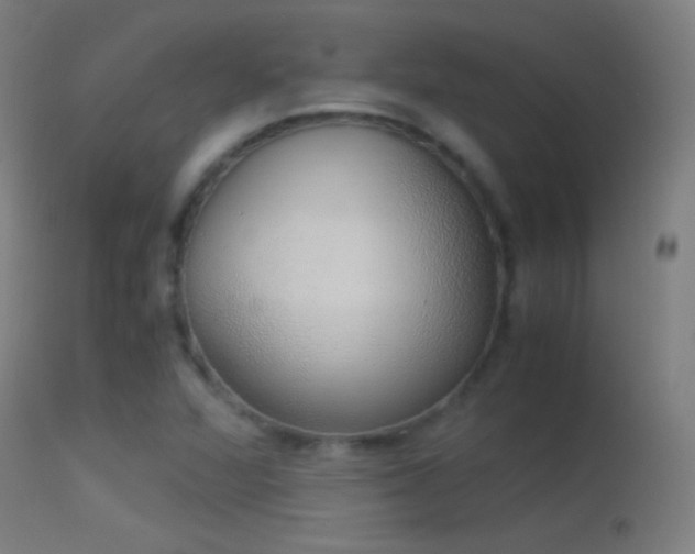 X0000114171360200910151627
