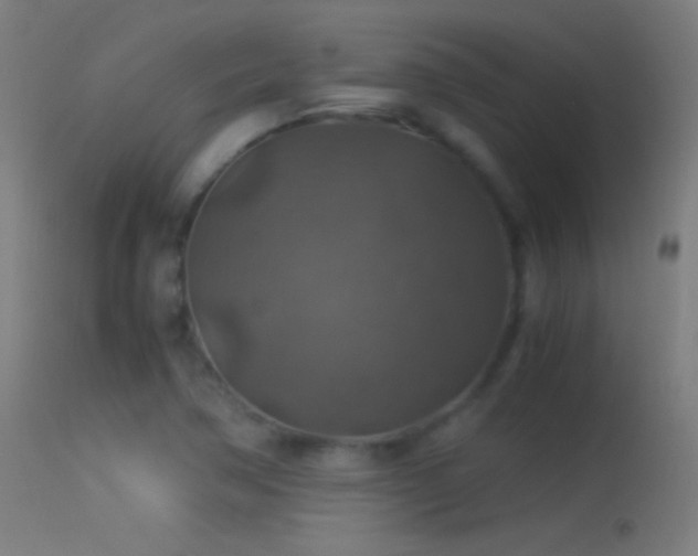 X0000114171362200910151627