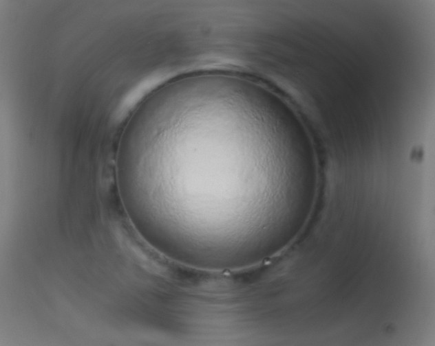 X0000114171363200910151627
