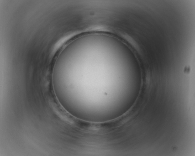 X0000114171364200910151627