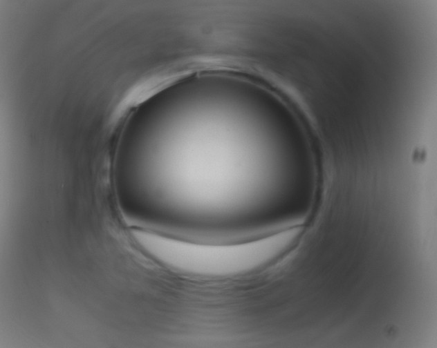 X0000114171365200910151627