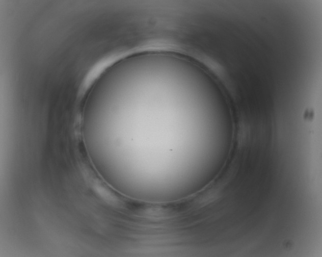 X0000114171366200910151627