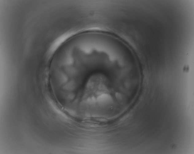 X0000114171367200910151627