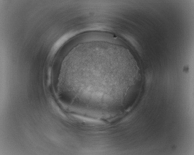 X0000114171371200910151627