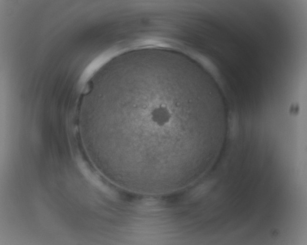X0000114171373200910151627