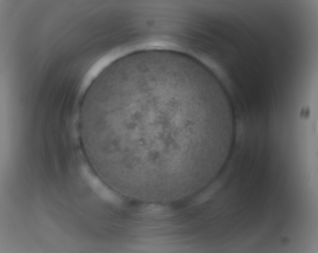 X0000114171374200910151627