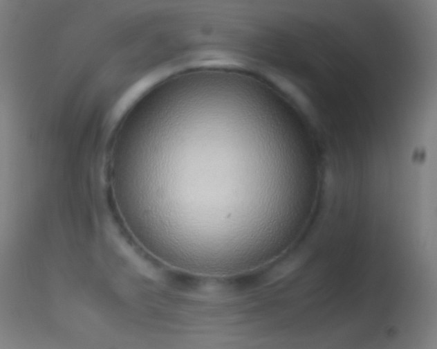 X0000114171375200910151627