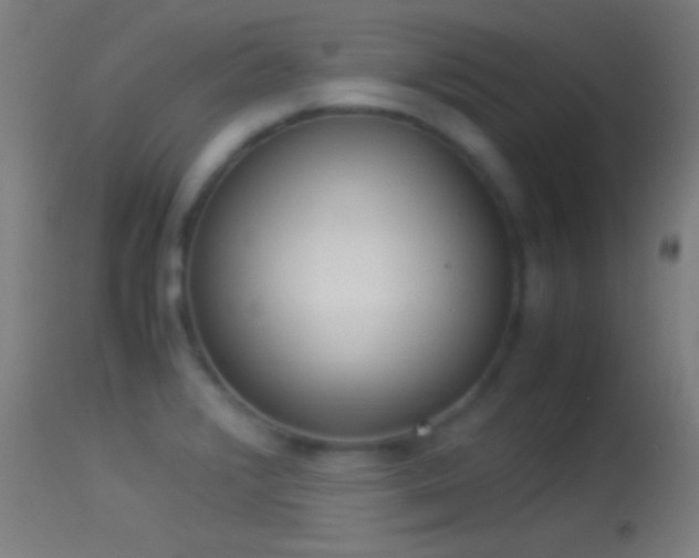 X0000114171376200910151627