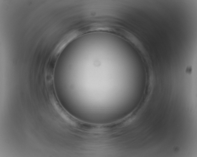 X0000114171377200910151627