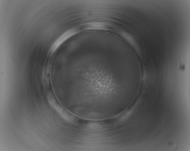 X0000114171378200910151627