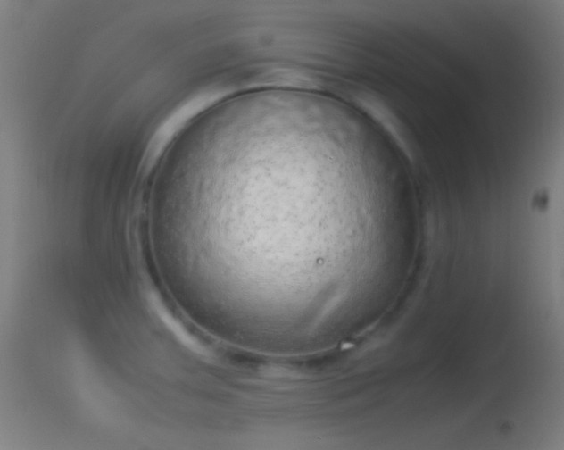 X0000114171379200910151627