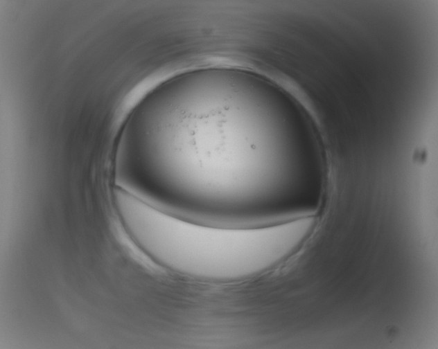X0000114171381200910151627