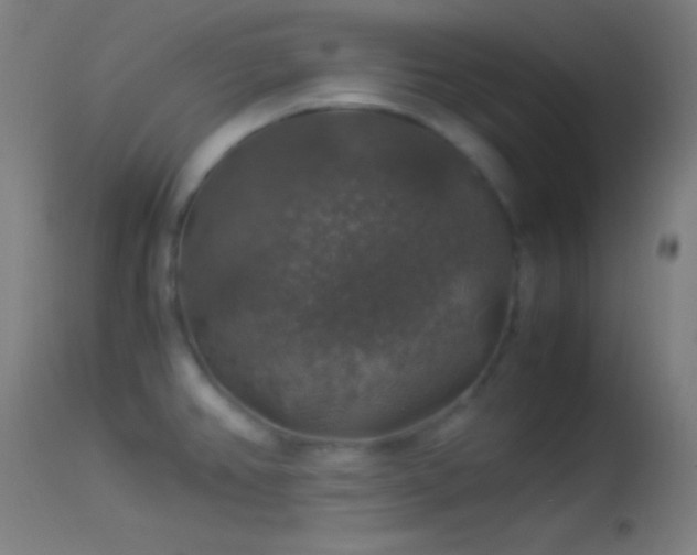 X0000114171382200910151627