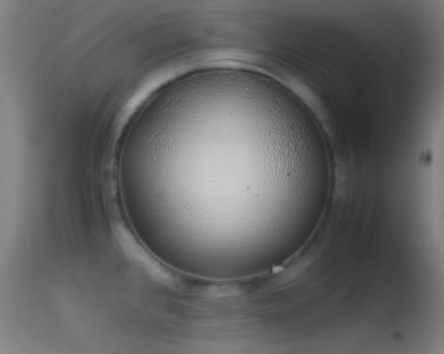 X0000114171384200910151627