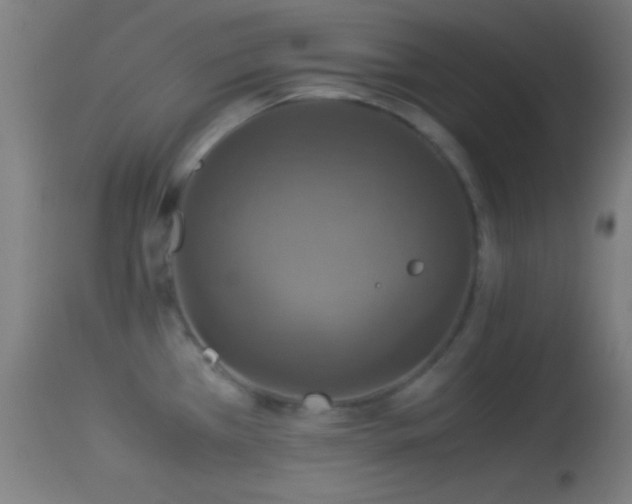 X0000114171385200910151627