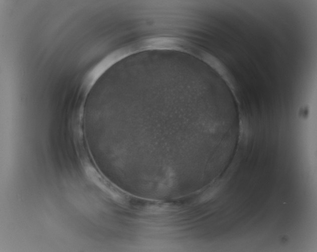 X0000114171386200910151627