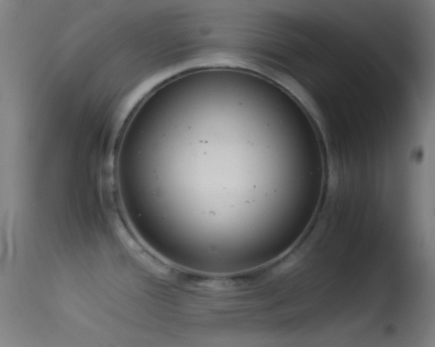 X0000114171388200910151627