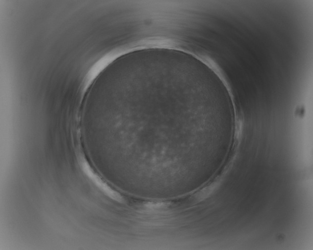 X0000114171389200910151627