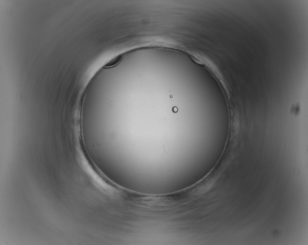 X0000114171391200910151627