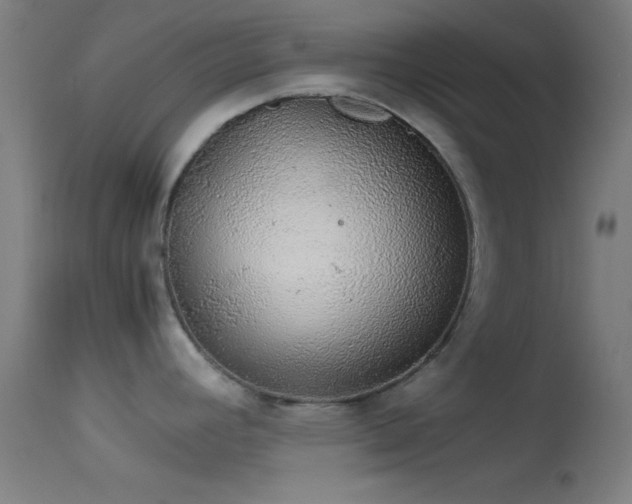 X0000114171392200910151627