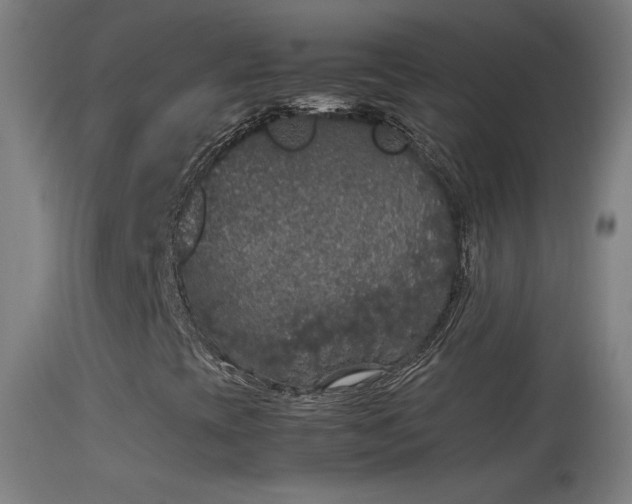 X0000114171393200910151626