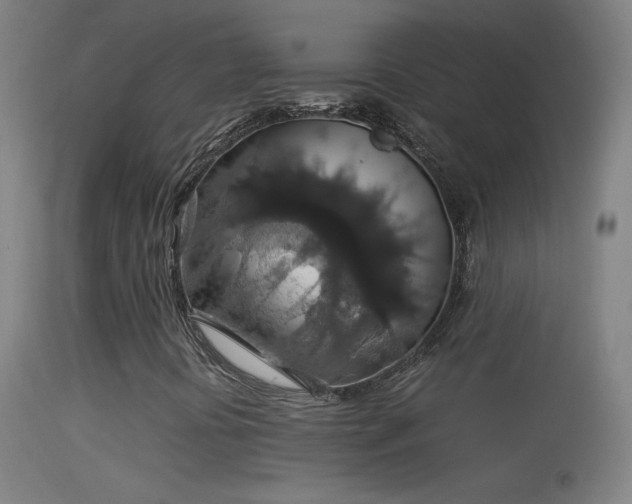 X0000114171394200910151626