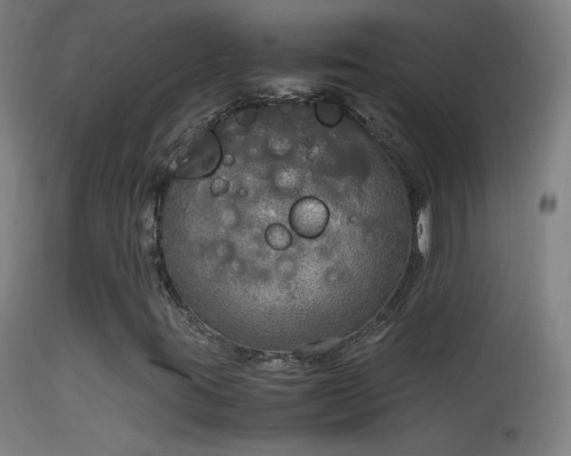 X0000114171395200910151626