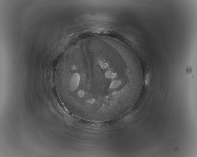 X0000114171396200910151626