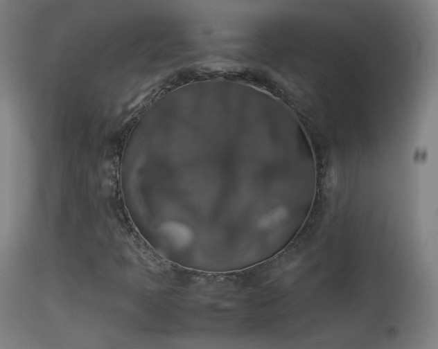 X0000114171397200910151626