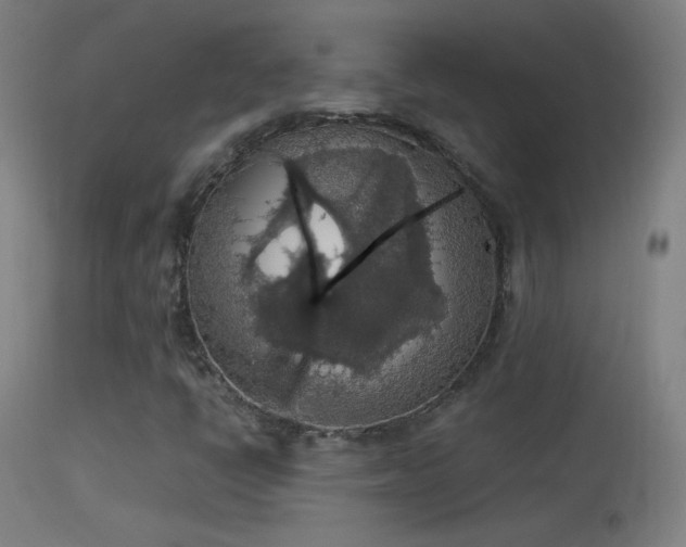X0000114171398200910151626