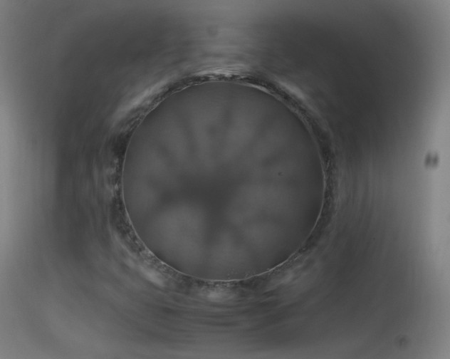 X0000114171399200910151626