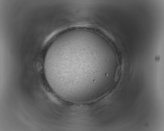 X0000114171400200910151626