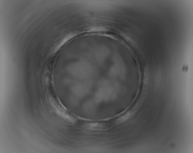 X0000114171401200910151626