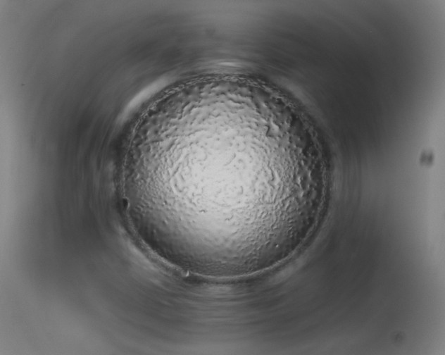 X0000114171402200910151626