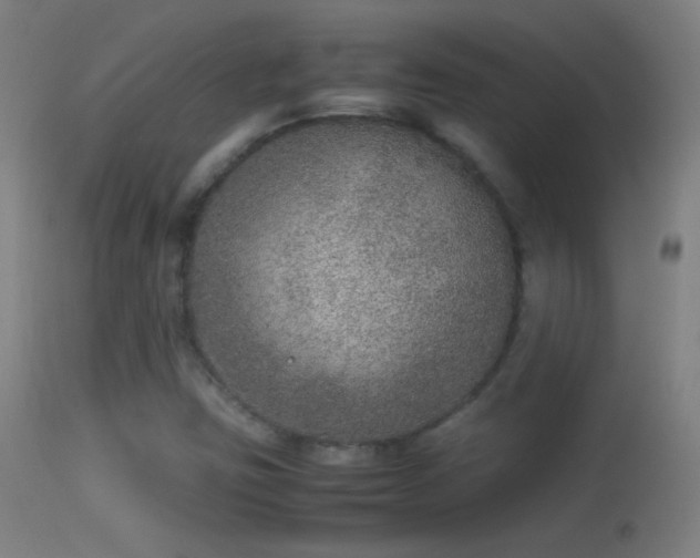 X0000114171403200910151626