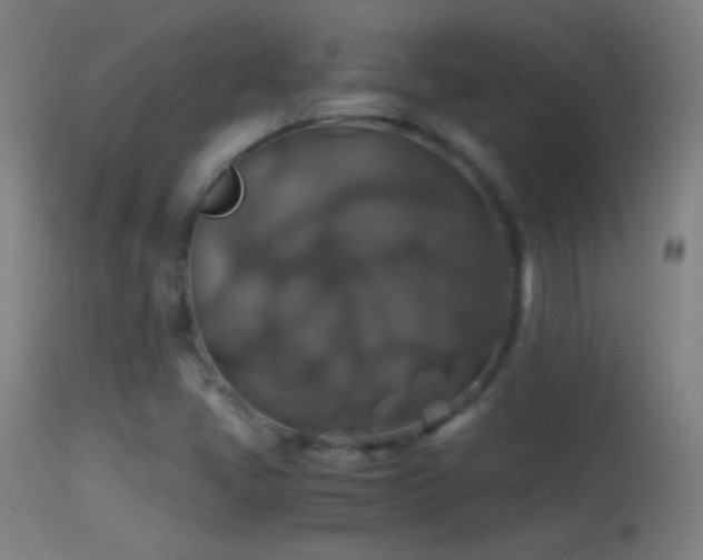 X0000114171405200910151626
