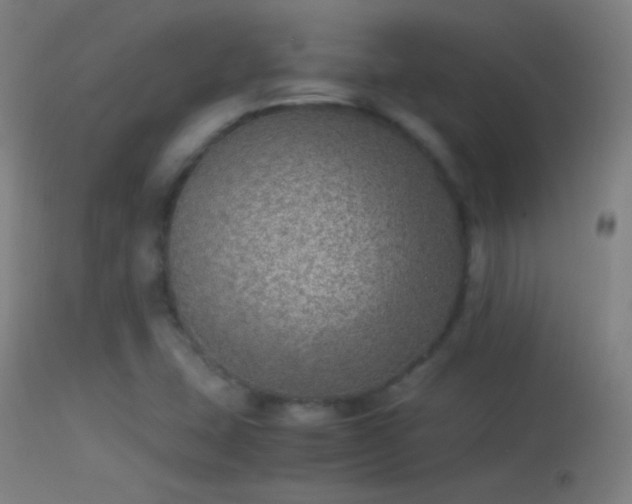 X0000114171407200910151626