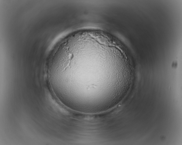 X0000114171408200910151626