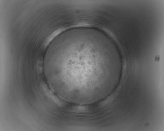 X0000114171409200910151626