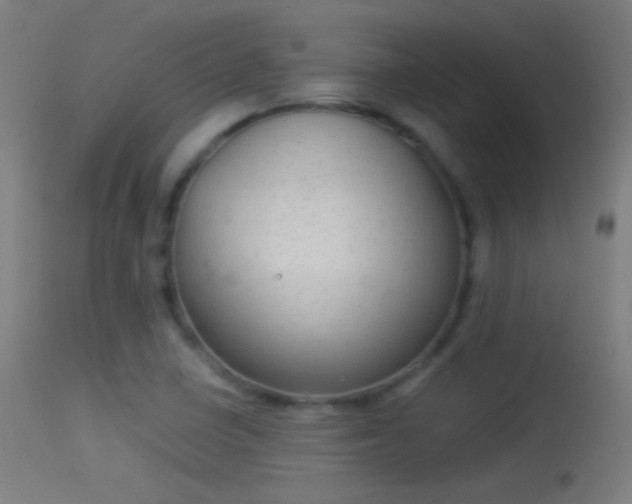 X0000114171410200910151626